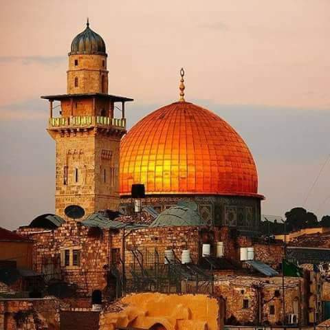 BOURENEB Yazid